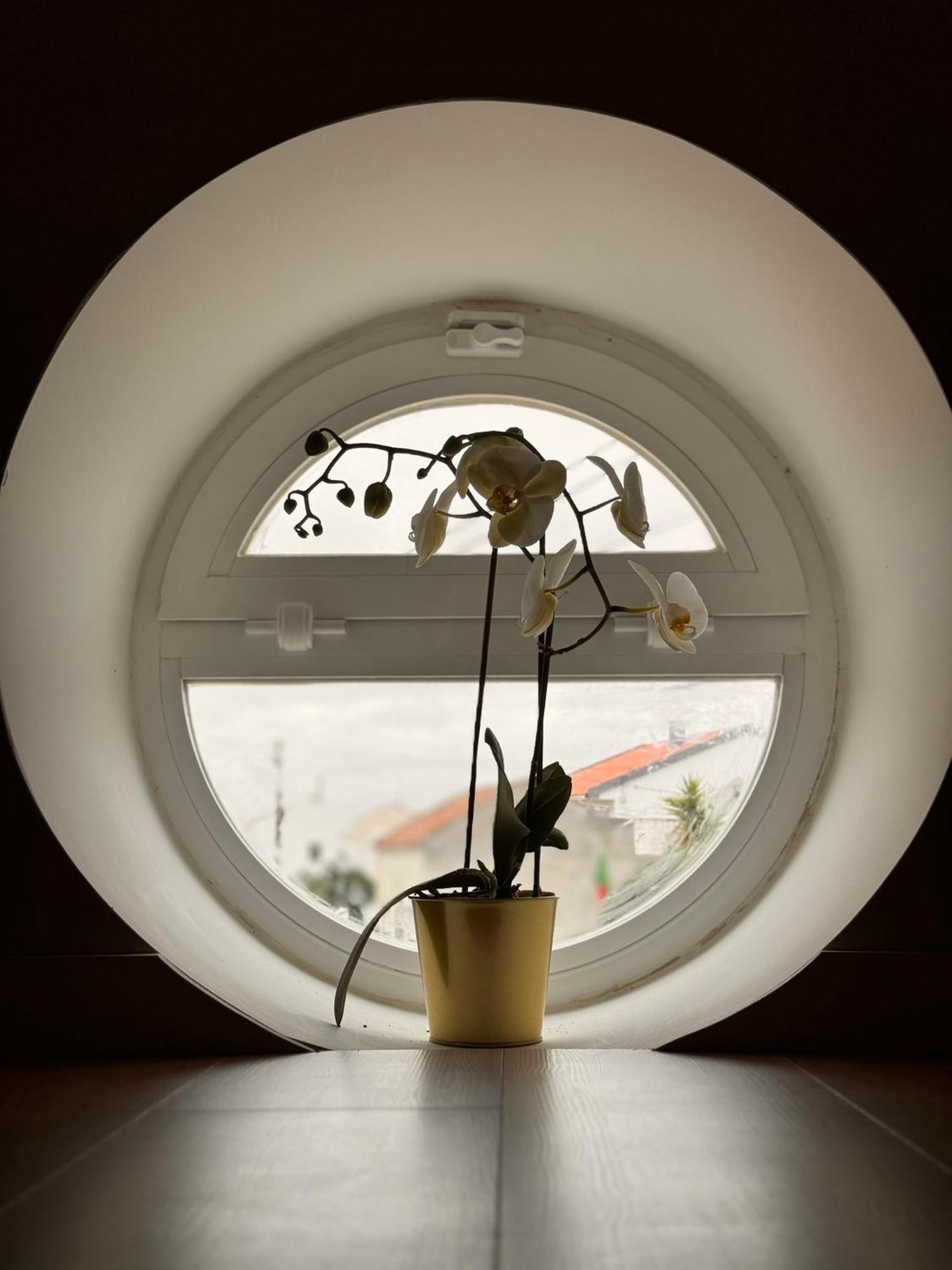 D'Felicidade Caldas Da Rainha Zimmer foto