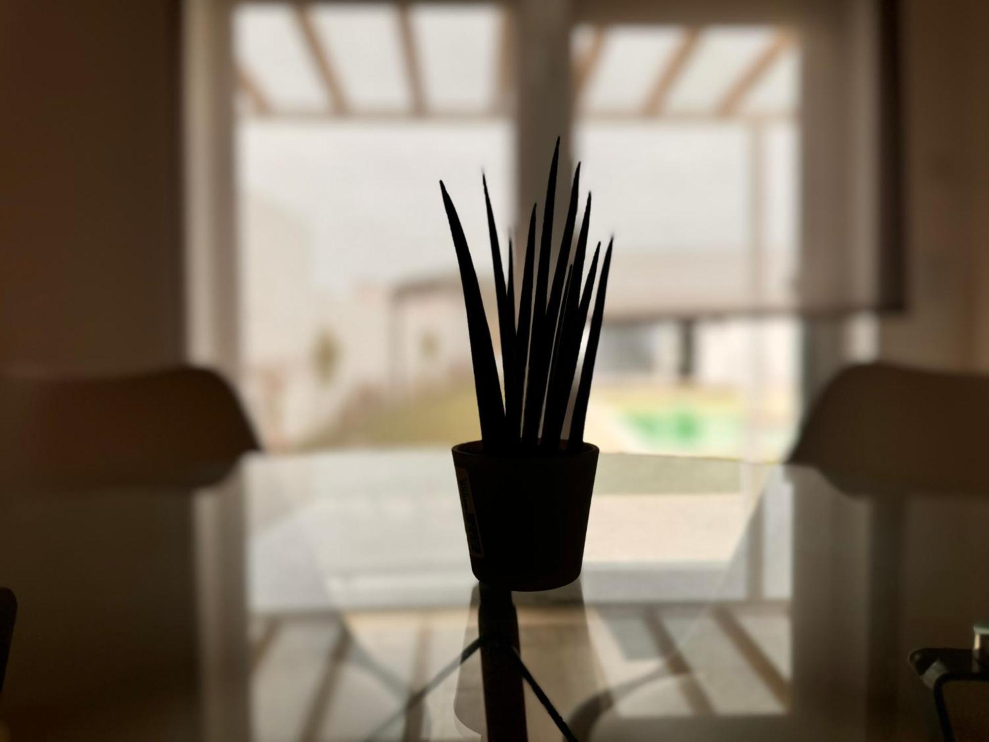 D'Felicidade Caldas Da Rainha Zimmer foto